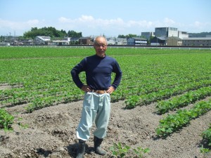 ミヤギシロメ 生産者