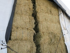 IMG_7778