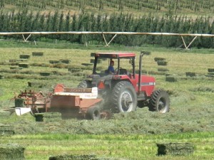 IMG_7814