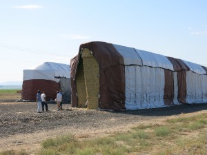 アメリカ出張